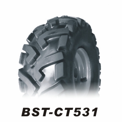 BSTCT531.jpg BSTCT531.jpg