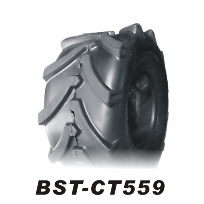 BSTCT559.jpg BSTCT559.jpg